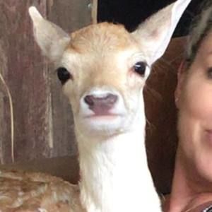 Meet your Posher, Scottie